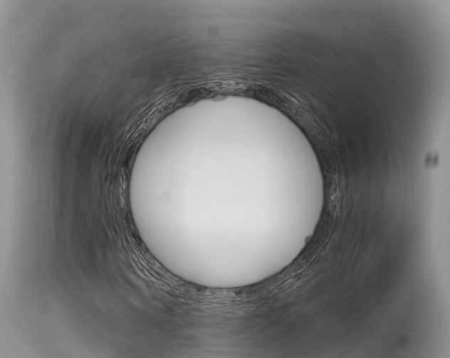X0000115480866200911061023