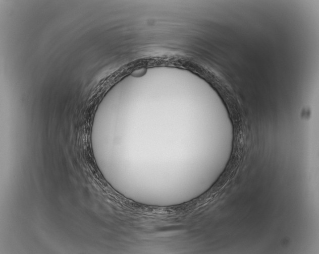 X0000115480869200911061023