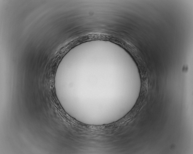 X0000115480870200911061023