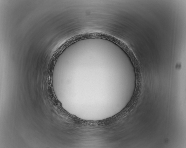 X0000115480871200911061022