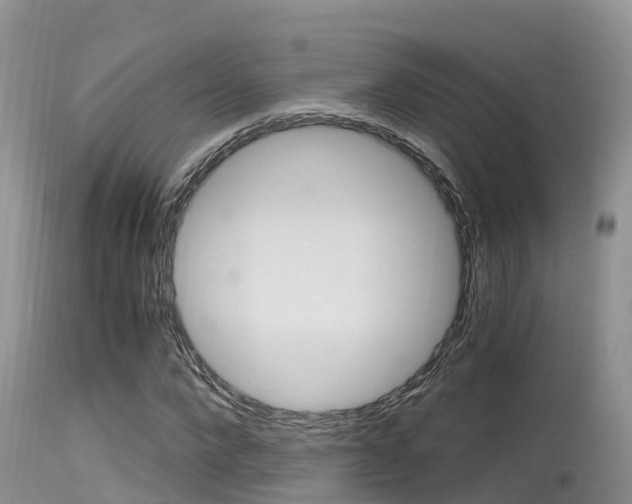X0000115480872200911061022