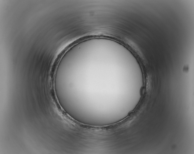 X0000115480876200911061022