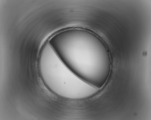 X0000115480880200911061022