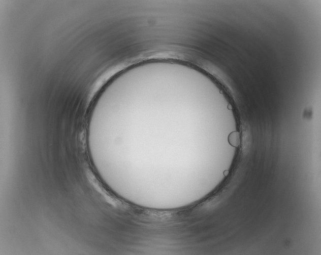 X0000115480882200911061022