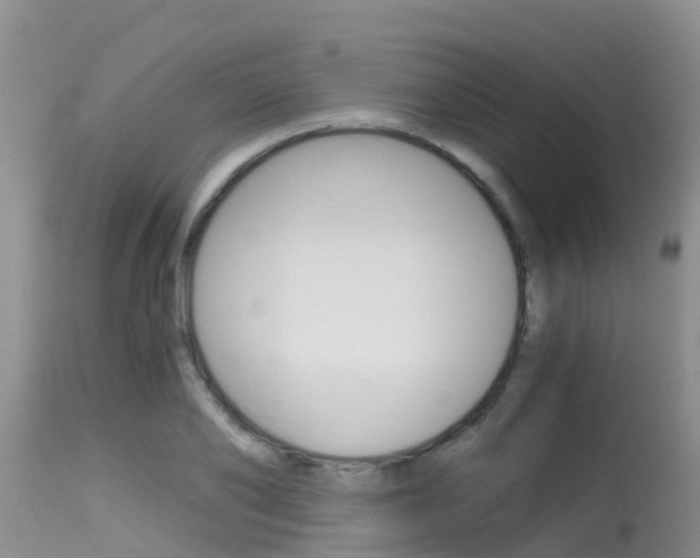 X0000115480886200911061022