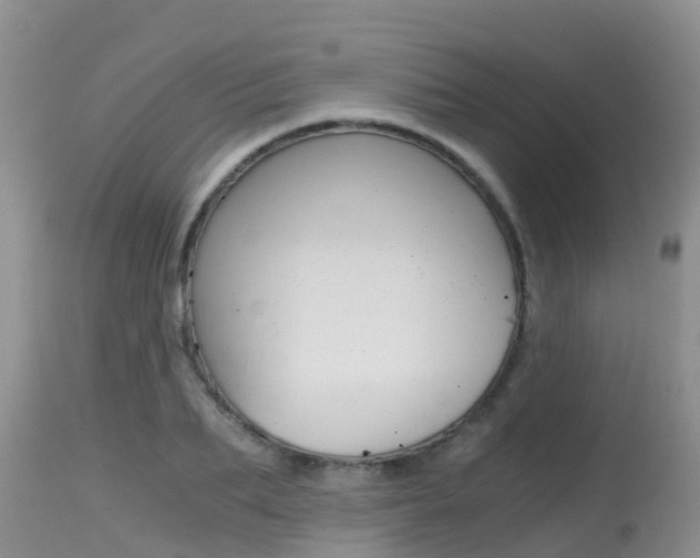 X0000115480887200911061022