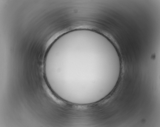 X0000115480890200911061022