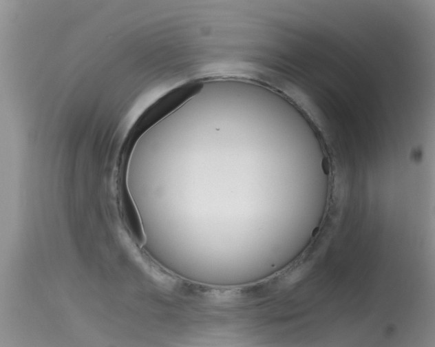 X0000115480893200911061022