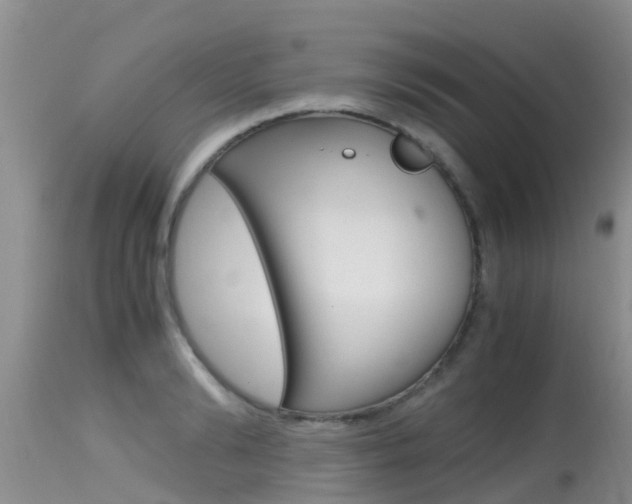 X0000115480894200911061022