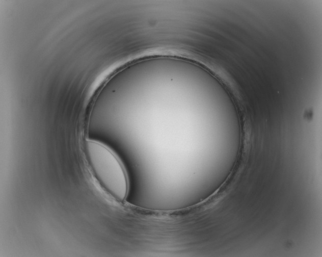 X0000115480896200911061022