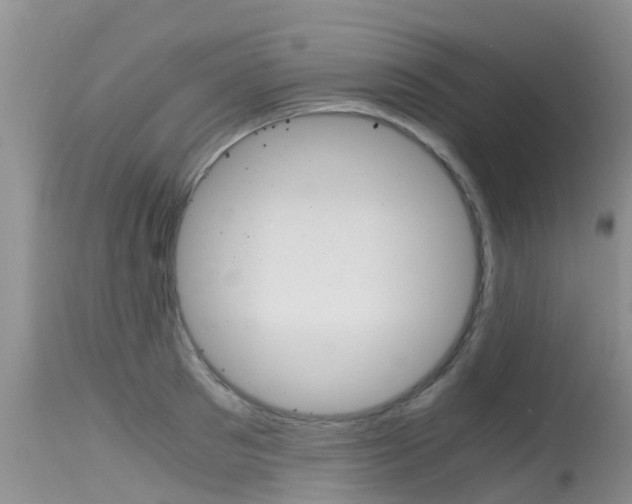 X0000115480897200911061022