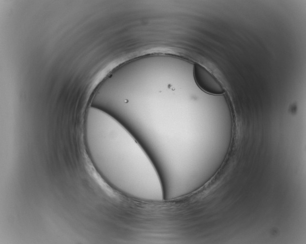 X0000115480898200911061022