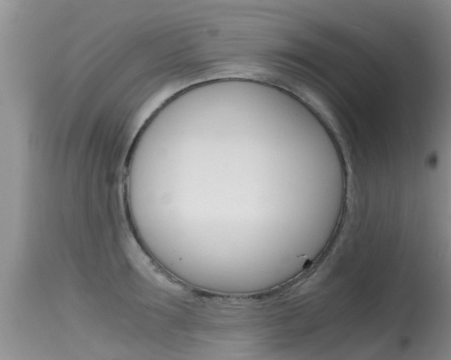 X0000115480899200911061022