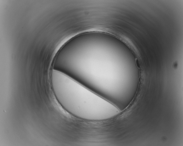 X0000115480900200911061022