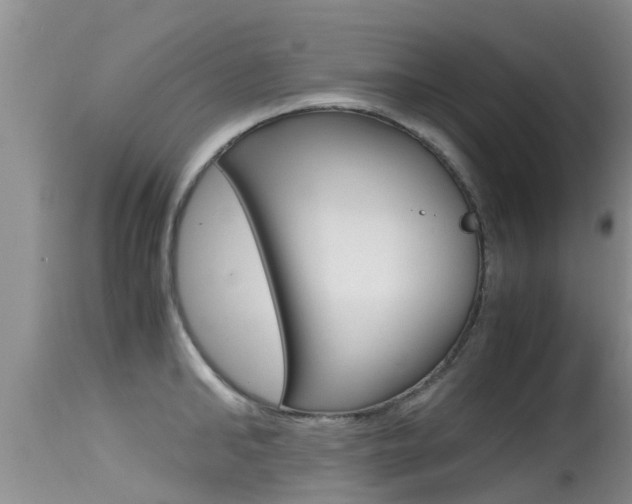 X0000115480902200911061022