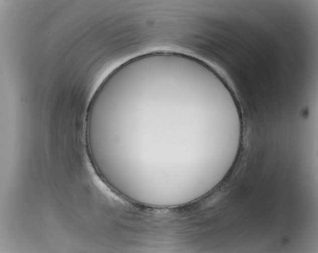 X0000115480903200911061022