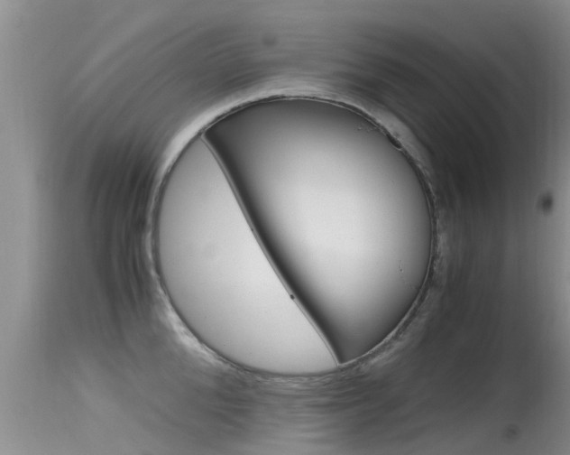 X0000115480904200911061022