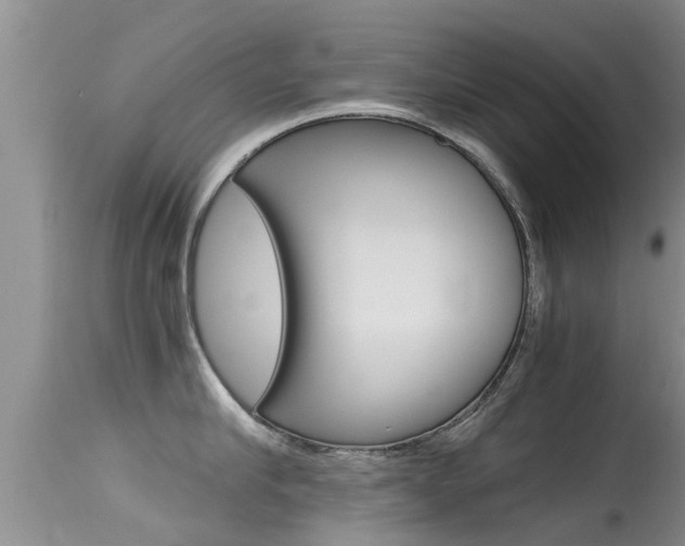 X0000115480910200911061022