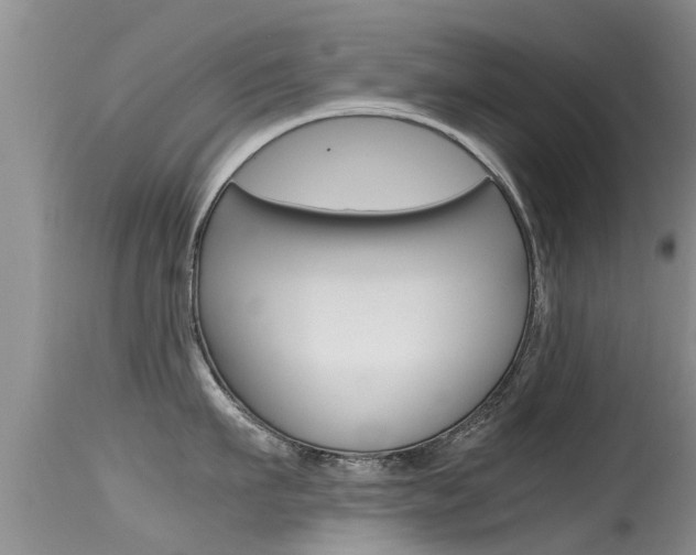 X0000115480911200911061022