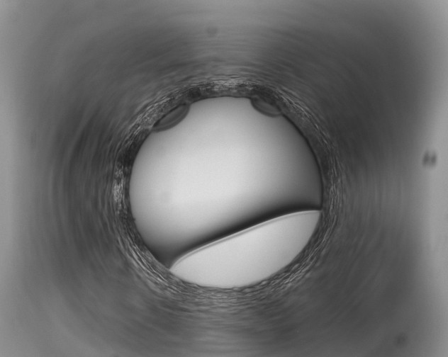 X0000115480914200911061021