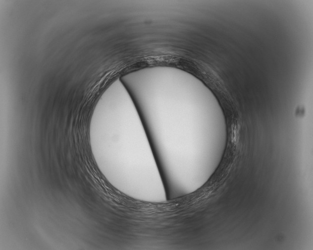 X0000115480915200911061021