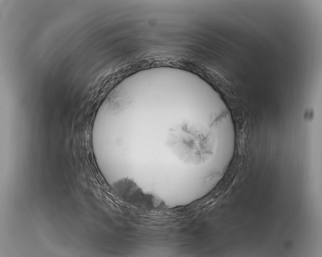 X0000115480917200911061021