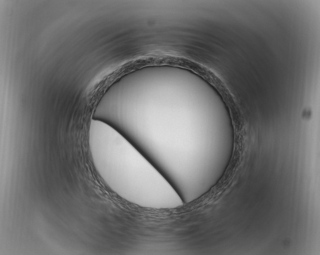 X0000115480919200911061021