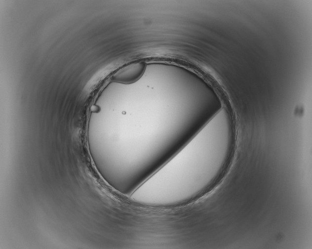 X0000115480922200911061021