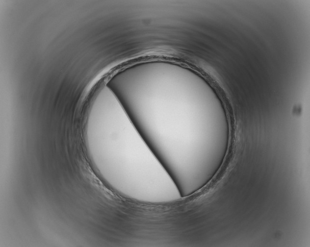 X0000115480923200911061021