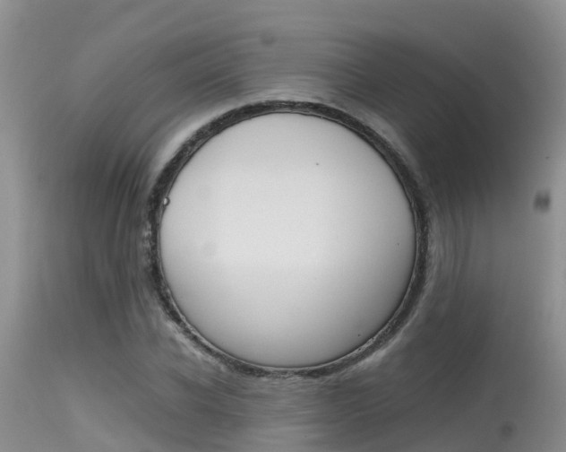 X0000115480926200911061021