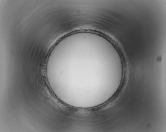X0000115480929200911061021