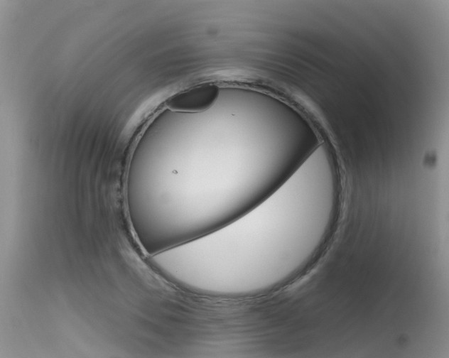 X0000115480930200911061022