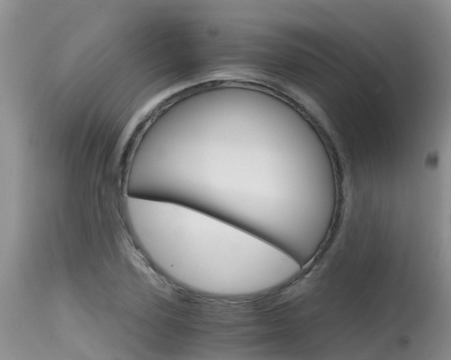 X0000115480931200911061022