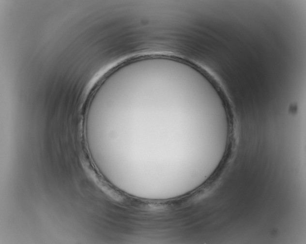 X0000115480933200911061022