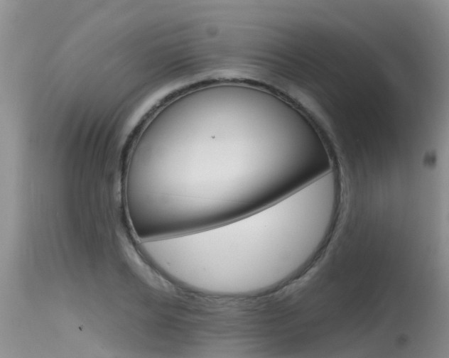 X0000115480934200911061022