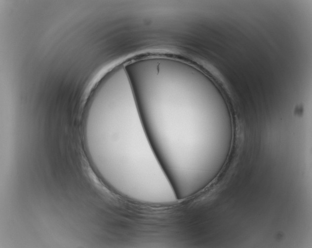 X0000115480935200911061022