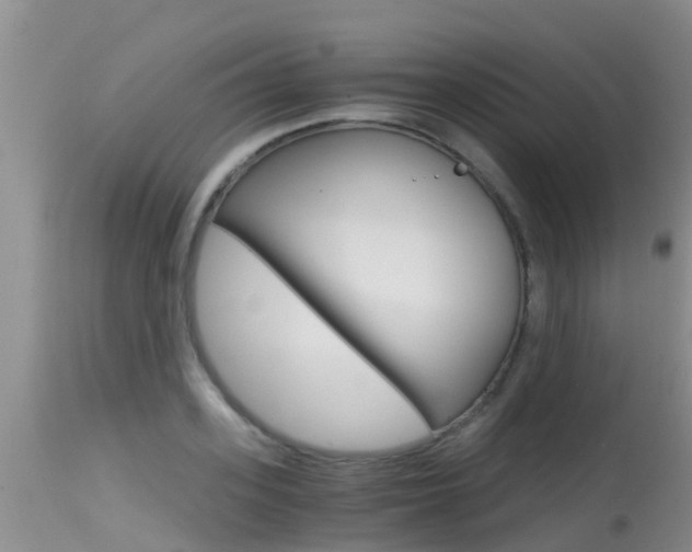 X0000115480939200911061022
