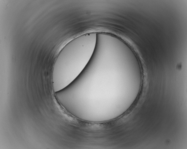X0000115480945200911061022