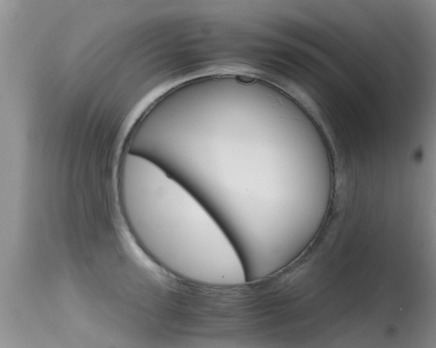 X0000115480947200911061022