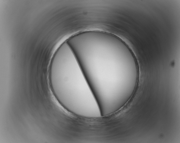 X0000115480949200911061022