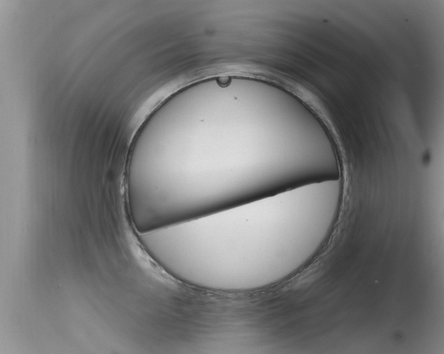 X0000115480954200911061022