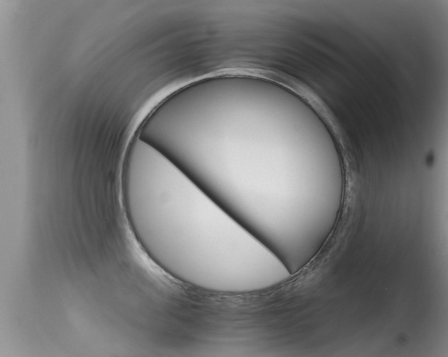 X0000115480955200911061022