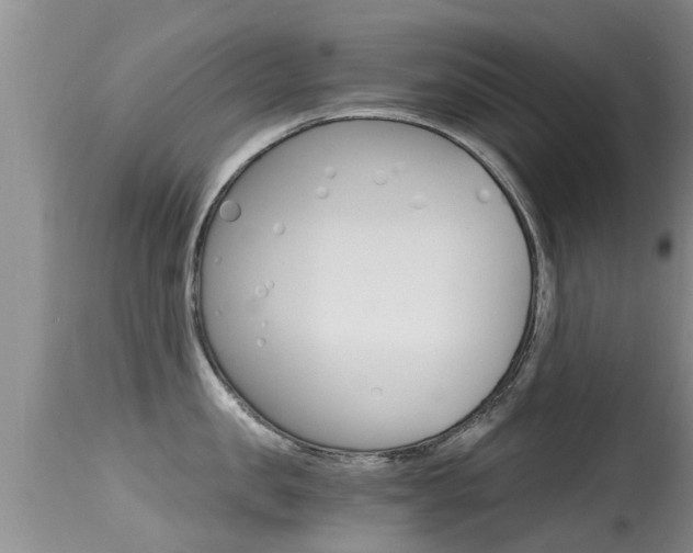 X0000115480957200911061022