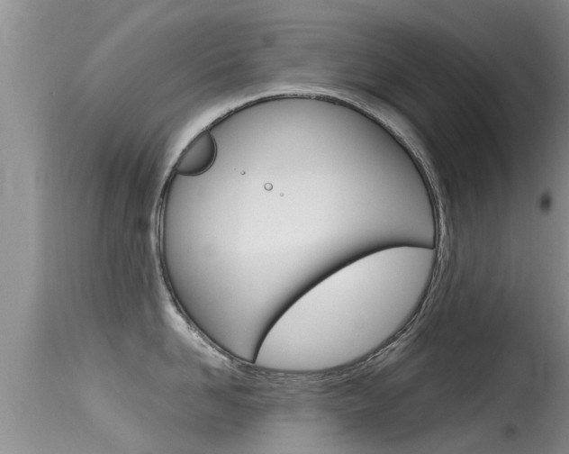 X0000115480958200911061022
