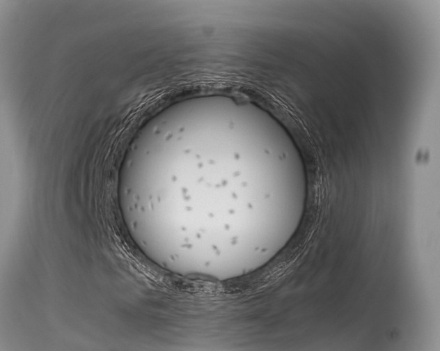 X0000115480961200911061021