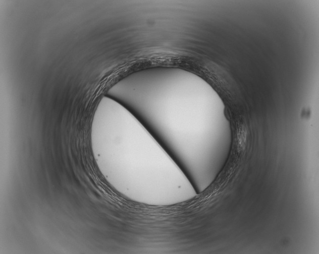 X0000115480964200911061021
