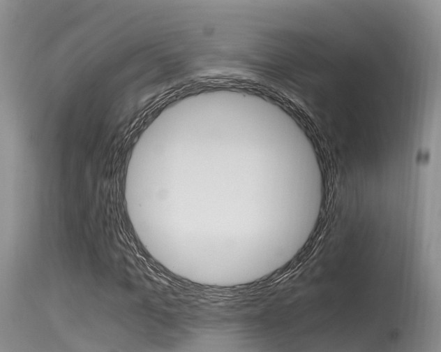 X0000115480965200911061021