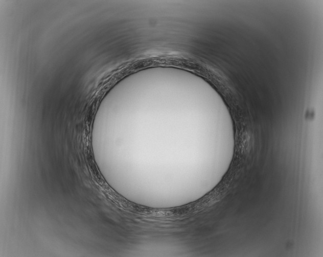 X0000115480966200911061021