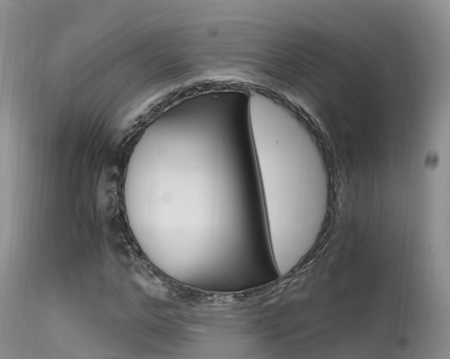 X0000115480968200911061021