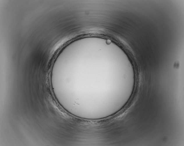 X0000115480970200911061021